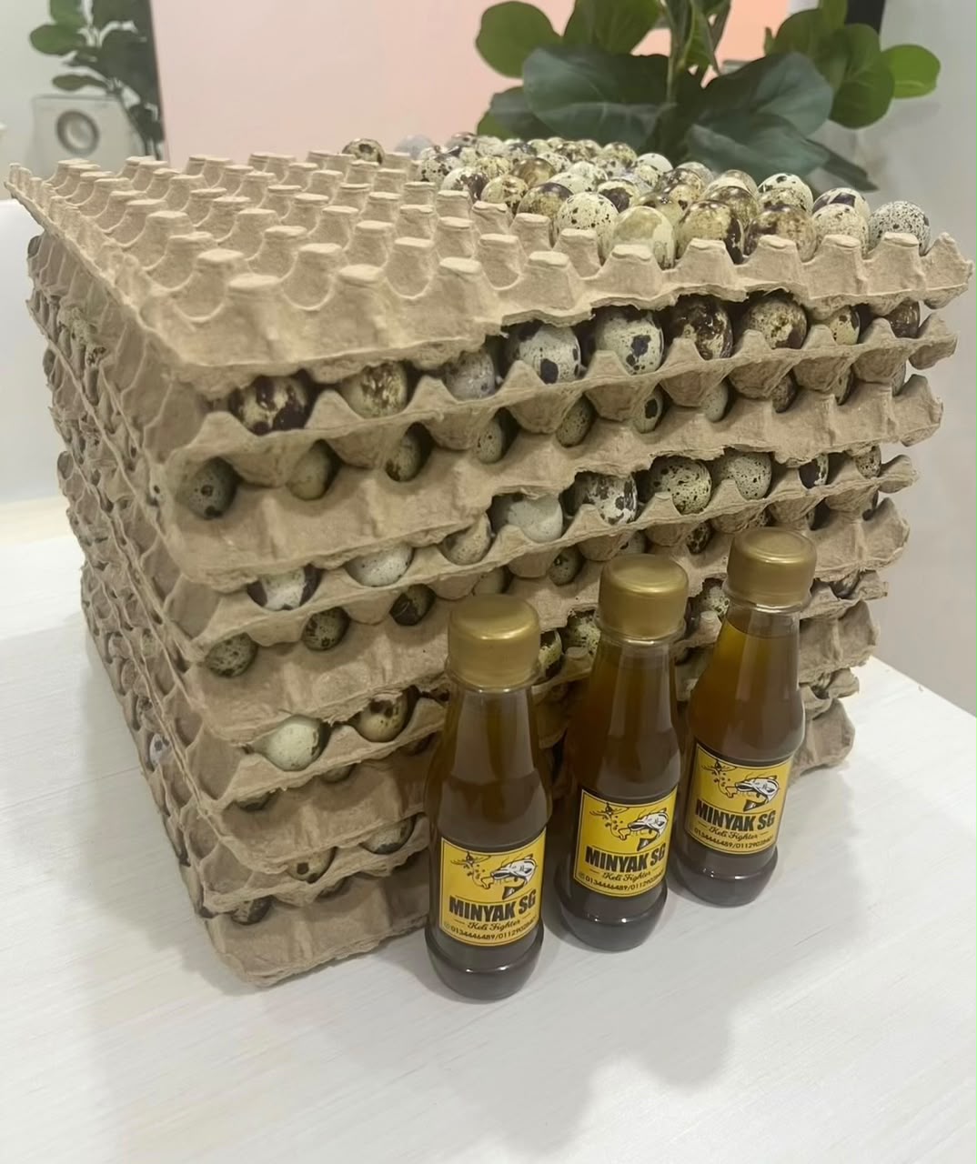 MINYAK ORGANIK LEMAK2 WANGI